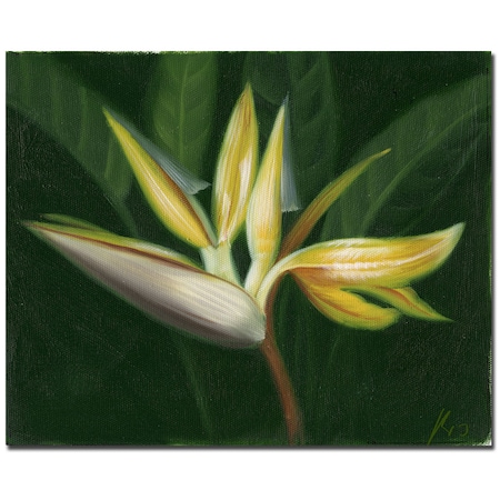 'Lilies' Canvas Art ,35x47